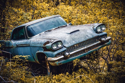 Free stock photo of abandoned, car wallpapers, fall wallpaper