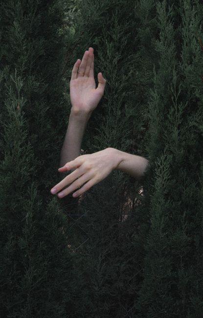Hands emerging mysteriously from dense greenery, creating an ethereal and mystical atmosphere.