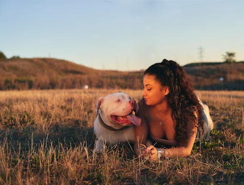 Foto profissional grátis de animal, animal de estimação, cachorro