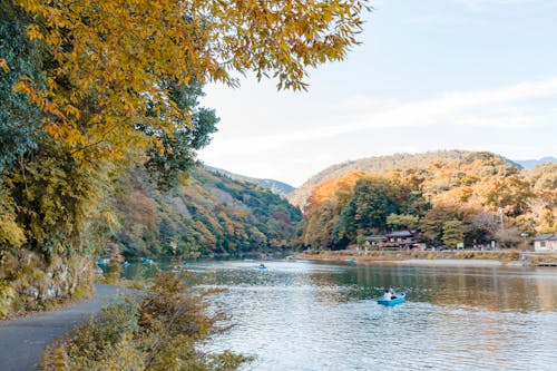 People Riding Boats in a River