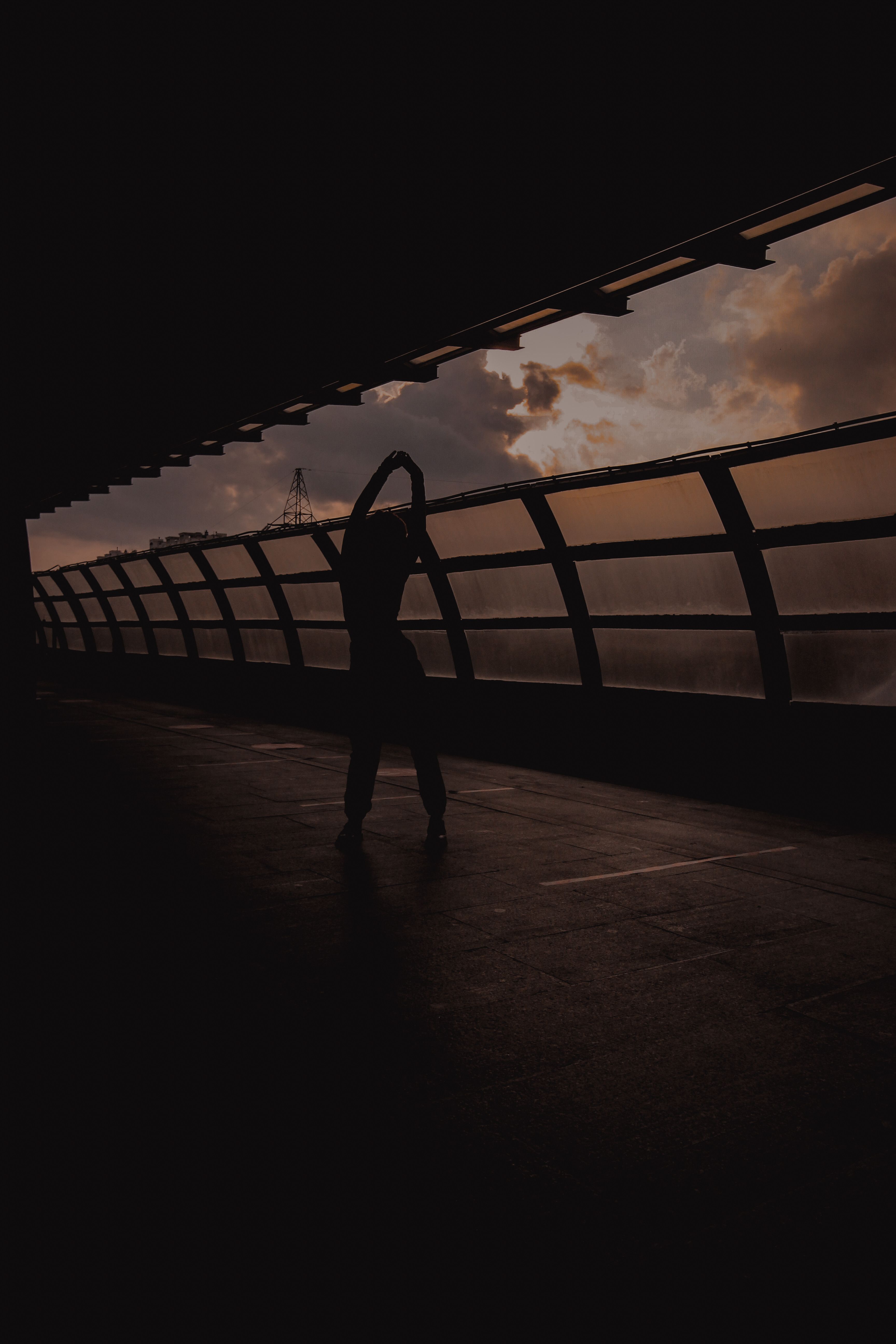 Silhouette of a Person Raising Her Arms · Free Stock Photo