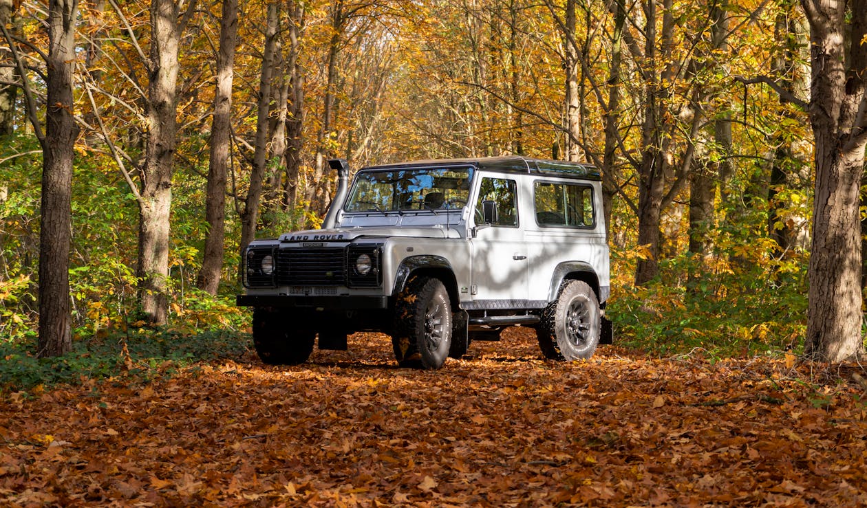 A Land Rover in the Forest