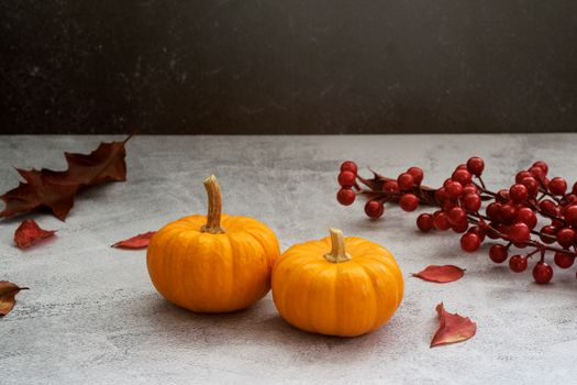 Orange Pumpkin on Gray Concrete Floor