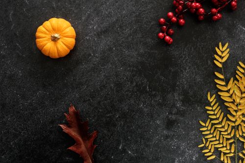 Free A top-down view of autumn leaves, a small pumpkin, and red berries on a dark background. Stock Photo
