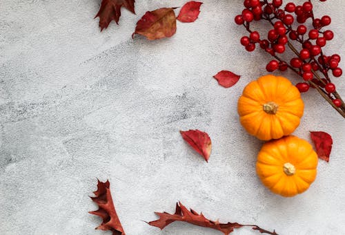 Kostenloses Stock Foto zu aufsicht, gefallene blätter, halloween