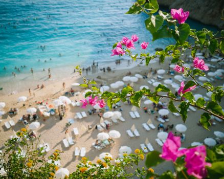 Vibrant pink bougainvillea framing a scenic beach in Türkiye with sunbathers and umbrellas.