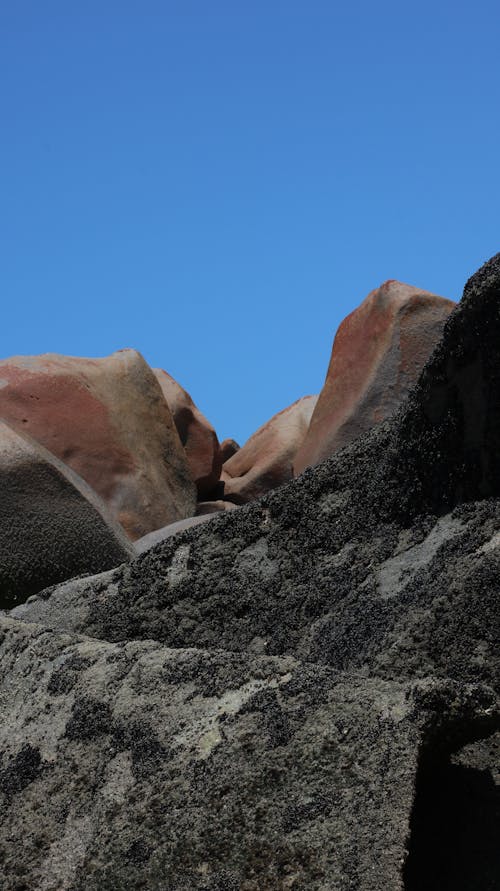 Immagine gratuita di pedras, praia, sfondo