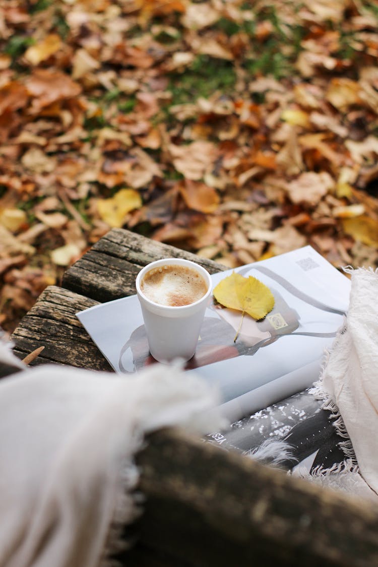 Plastic Cup Of Cappuccino Standing On Open Illustrated Magazine On Park Bench