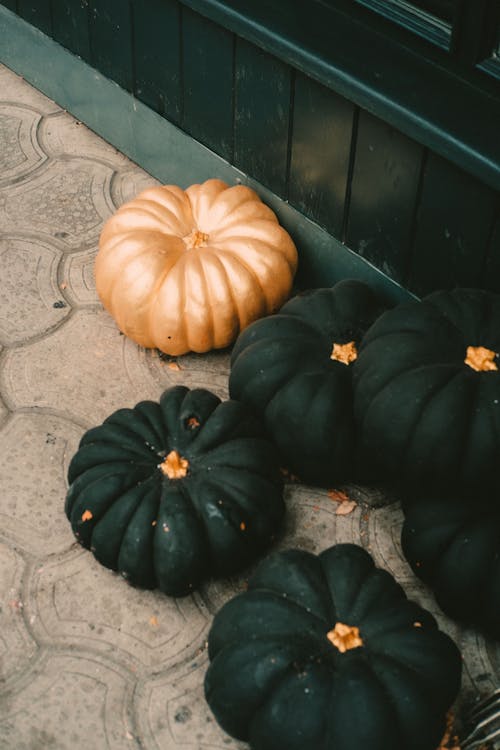 Black and Gold Pumpkin for Halloween