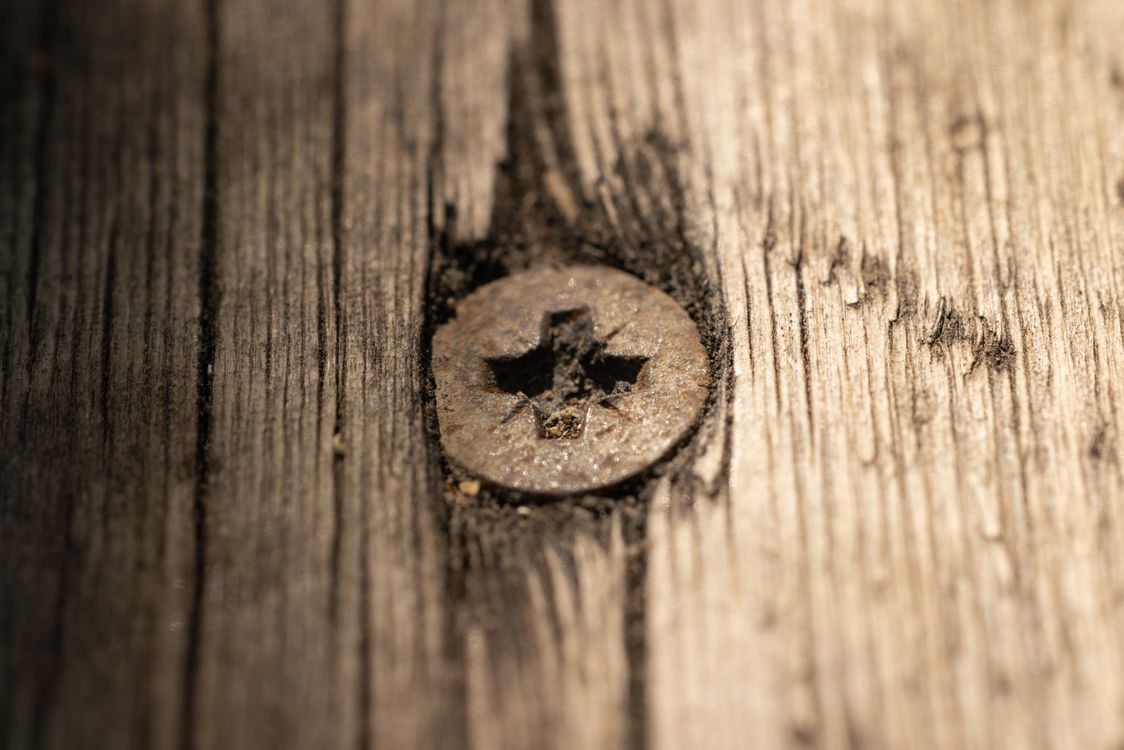 Metal Screw in a Wood · Free Stock Photo
