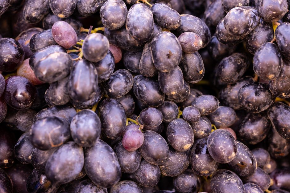Cận cảnh những hạt nho đen bóng giàu anthocyanin và resveratrol, hai chất chống oxy hóa mạnh có lợi cho tim mạch