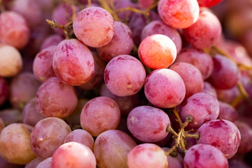 Delicious Cluster of Red Grapes