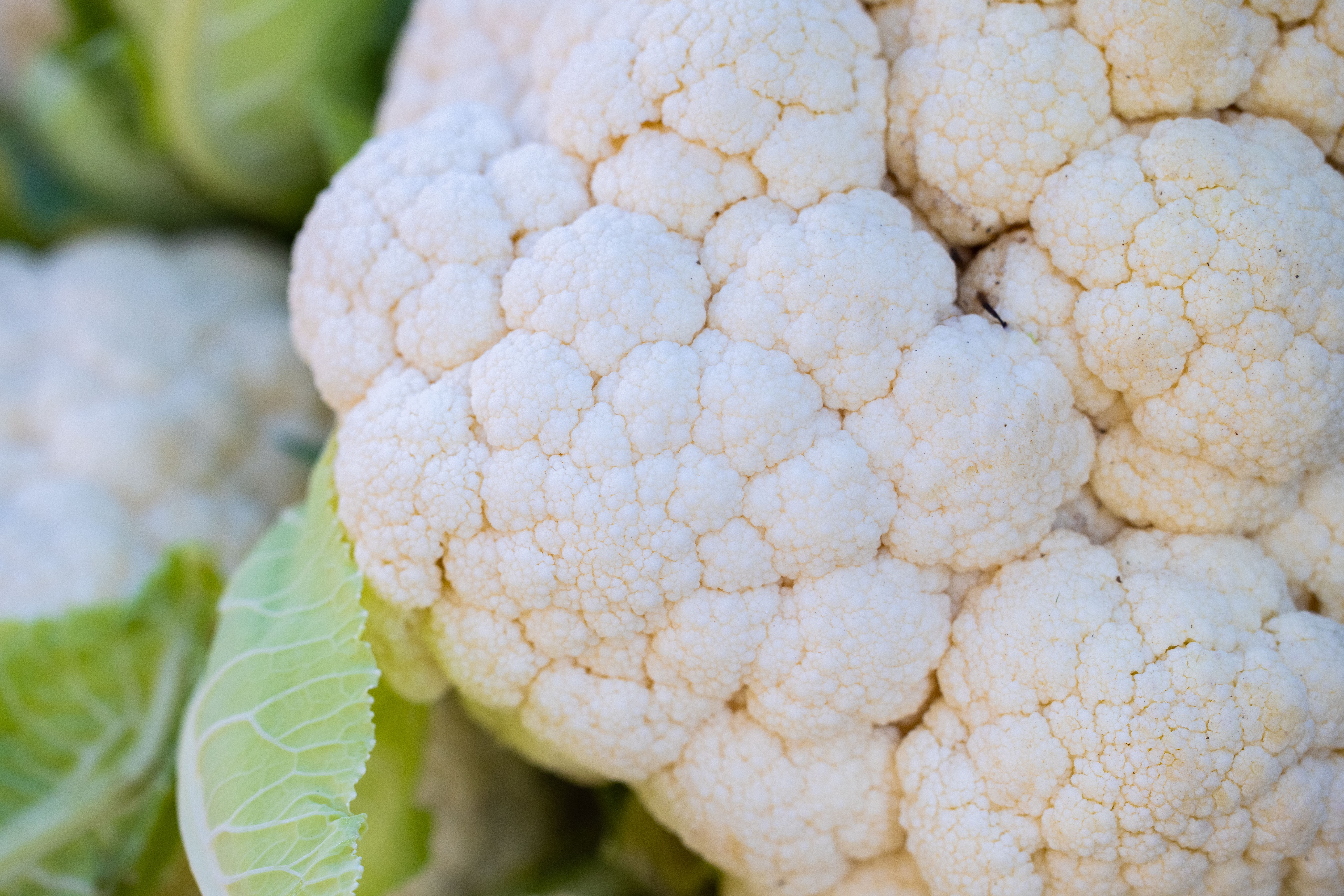 Cauliflower — ingredient guide