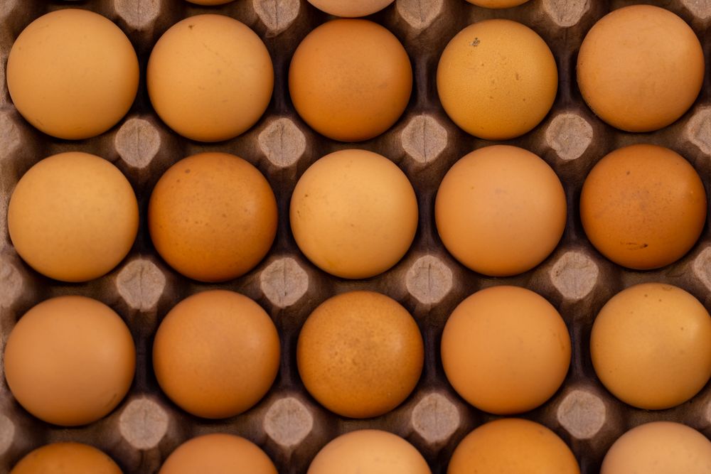 Huevos frescos en bandeja