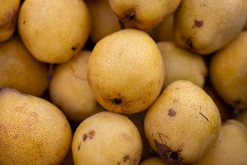 Yellow Round Fruits in Close Up Photography