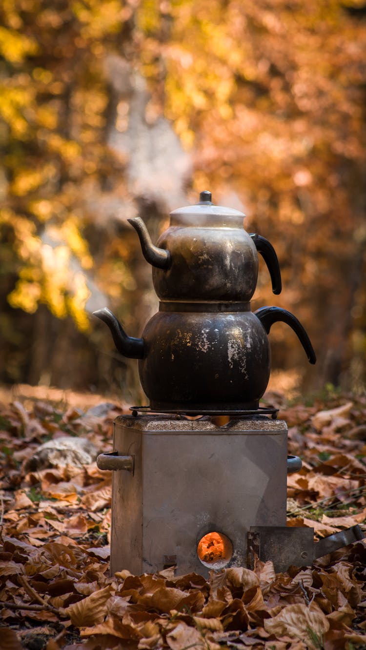 Two Kettles On Top Of A Small Stove Standing In Autumn Leaves