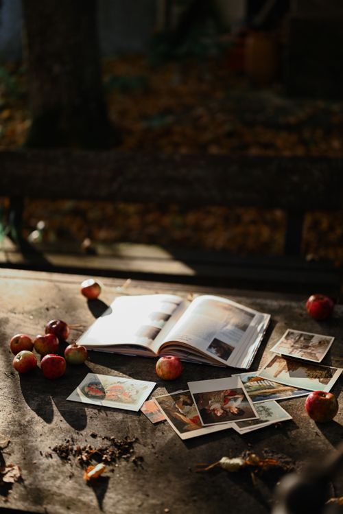 Free A serene outdoor scene featuring apples, an open book, and photos on a wooden table amidst autumn leaves. Stock Photo