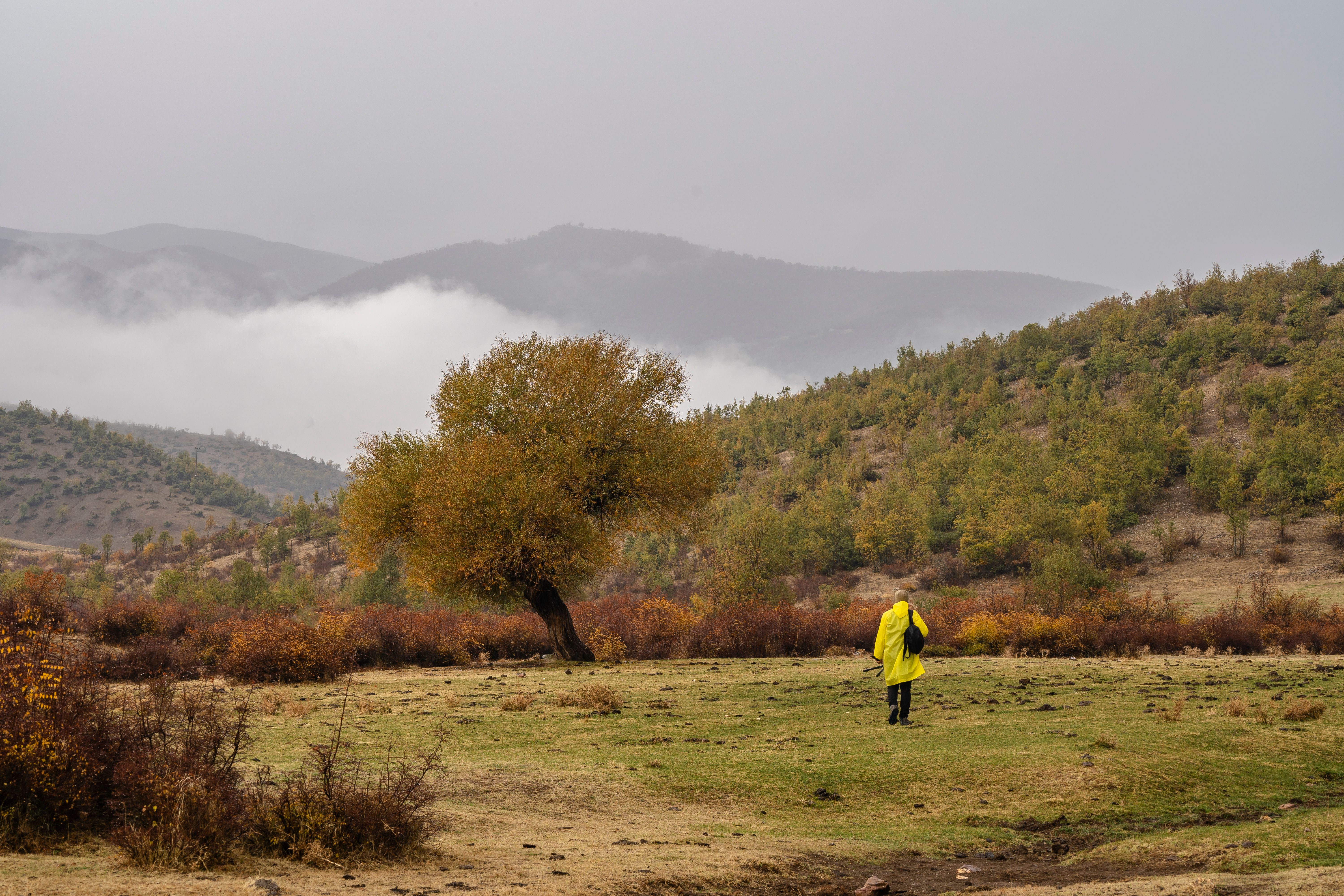 [ColoSach]-a-person-in-a-yellow-coat-walks-through-a-misty,-autumnal-mountain-landscape.