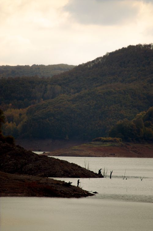 Free Tranquil lake surrounded by lush mountains under a cloudy sky, creating a serene outdoor scene. Stock Photo
