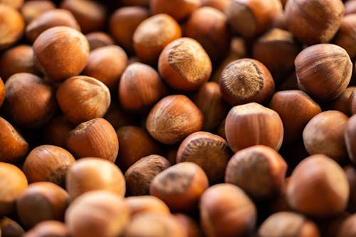 Free Brown Hazelnuts in Close Up Photography Stock Photo