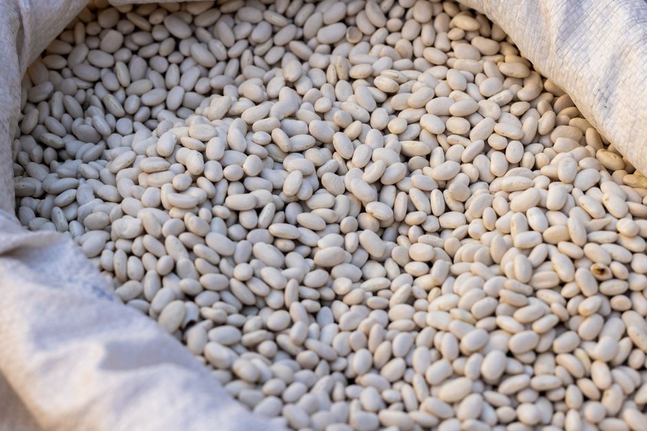 Close-up of raw navy beans in a sack, highlighting their texture and natural color.
