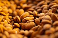 Shelled Almond Nuts in Close-up Photography