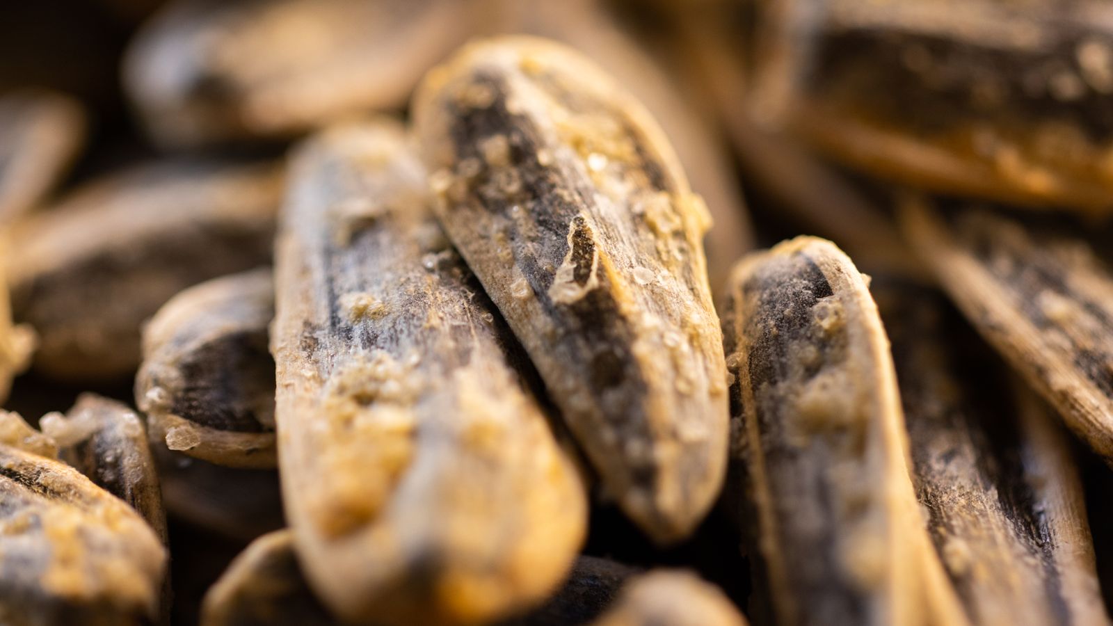 Close-up of salted roasted sunflower seeds — photo by Engin Akyurt on Pexels Close-up of salted roasted sunflower seeds