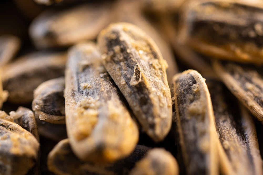 Honey-Roasted Sunflower Seeds Honey-Roasted Sunflower Seeds