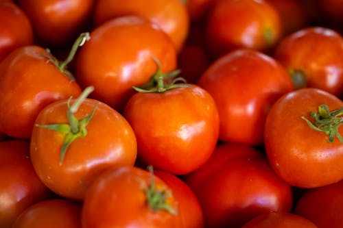 Free Pile of Fresh Tomatoes Stock Photo