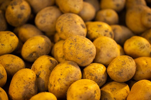 Fresh Potatoes