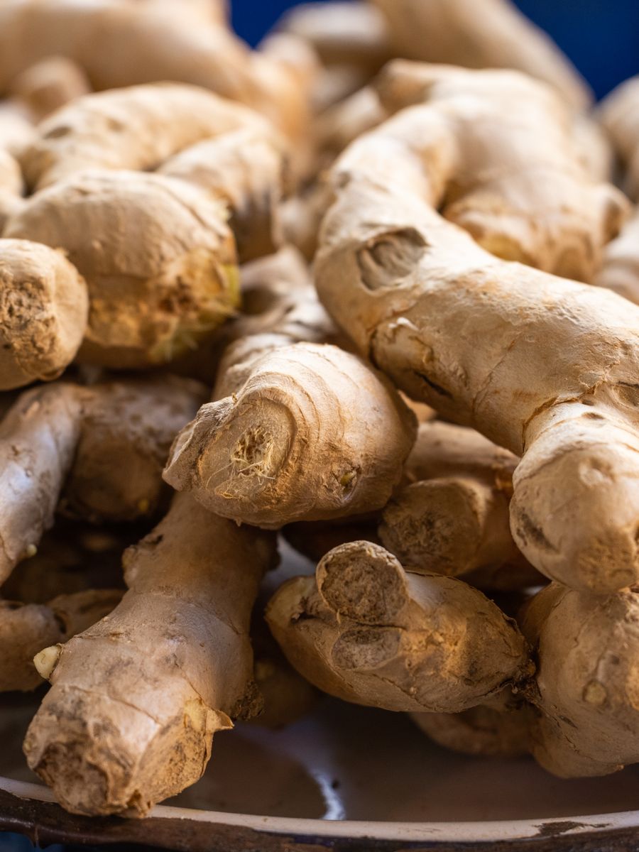 Fresh ginger rhizomes
