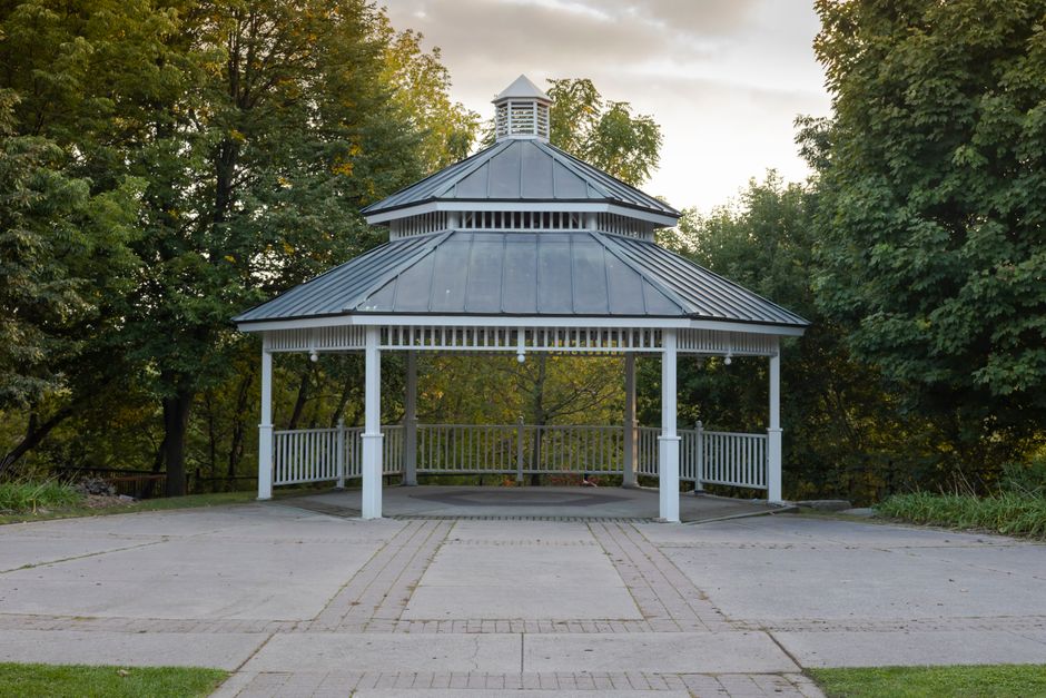Style Selections Canopy Gazebo Only
