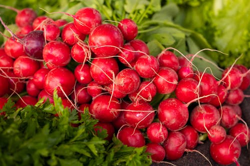 Healthy Red Radish Root Vegetable