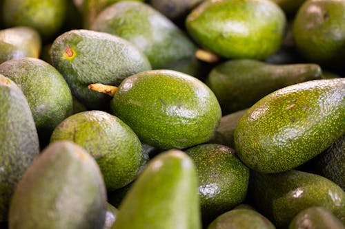 Green Avocados in Close-up Shot