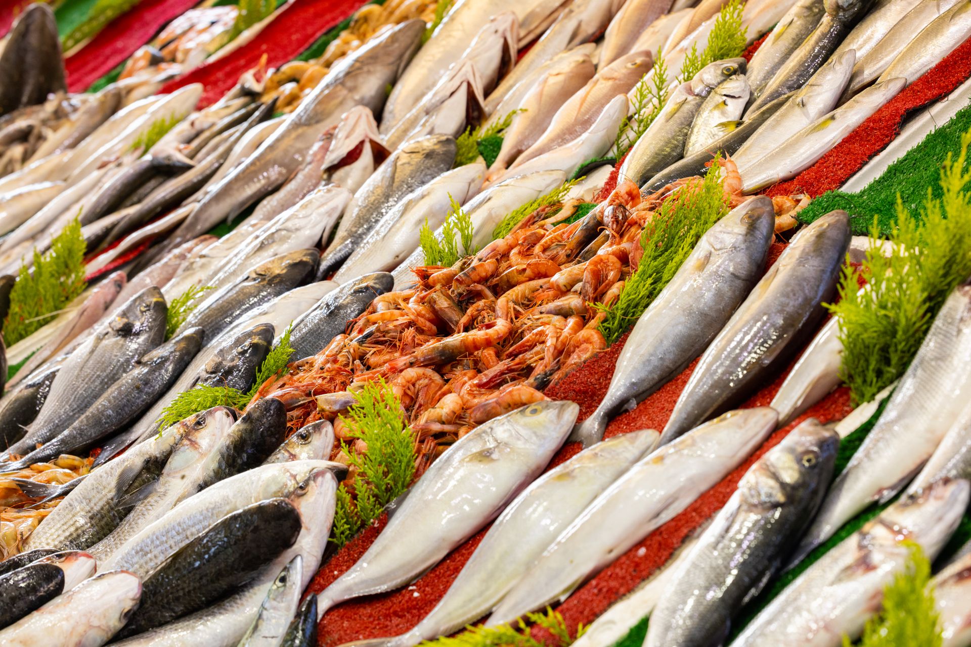 Rows of fresh whole fish and shrimp displayed on ice, seafood on show