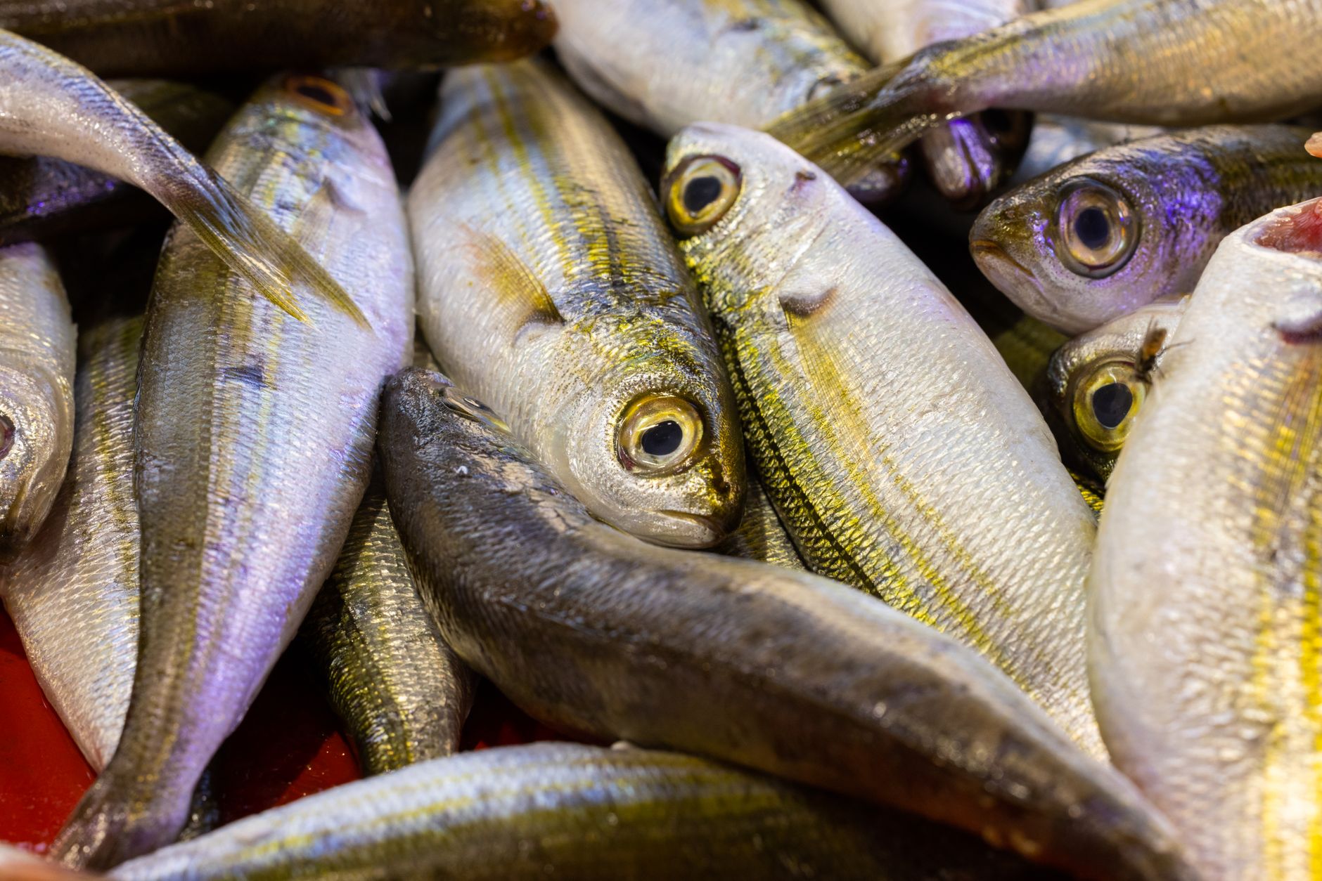 Cr0acker Fish How Do You Cook Croaker Fish? - Chef's Resource