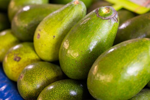 Green Avocados in Close-Up Photography