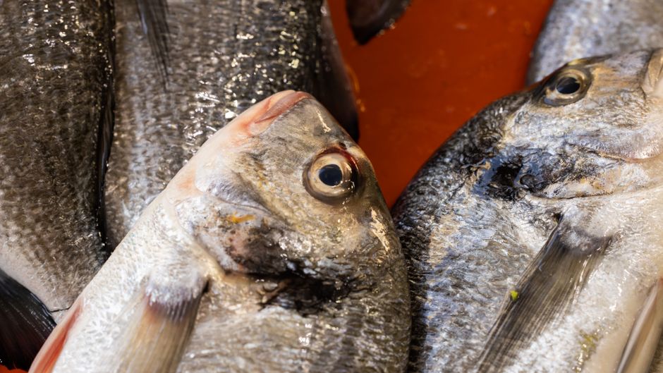 Cooking Classes At Sydney Fish Markets