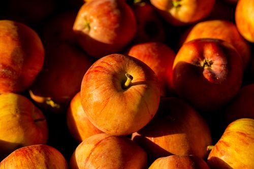 Free A close-up view of ripe red apples bathed in sunlight, showcasing their vivid colors and freshness. Stock Photo