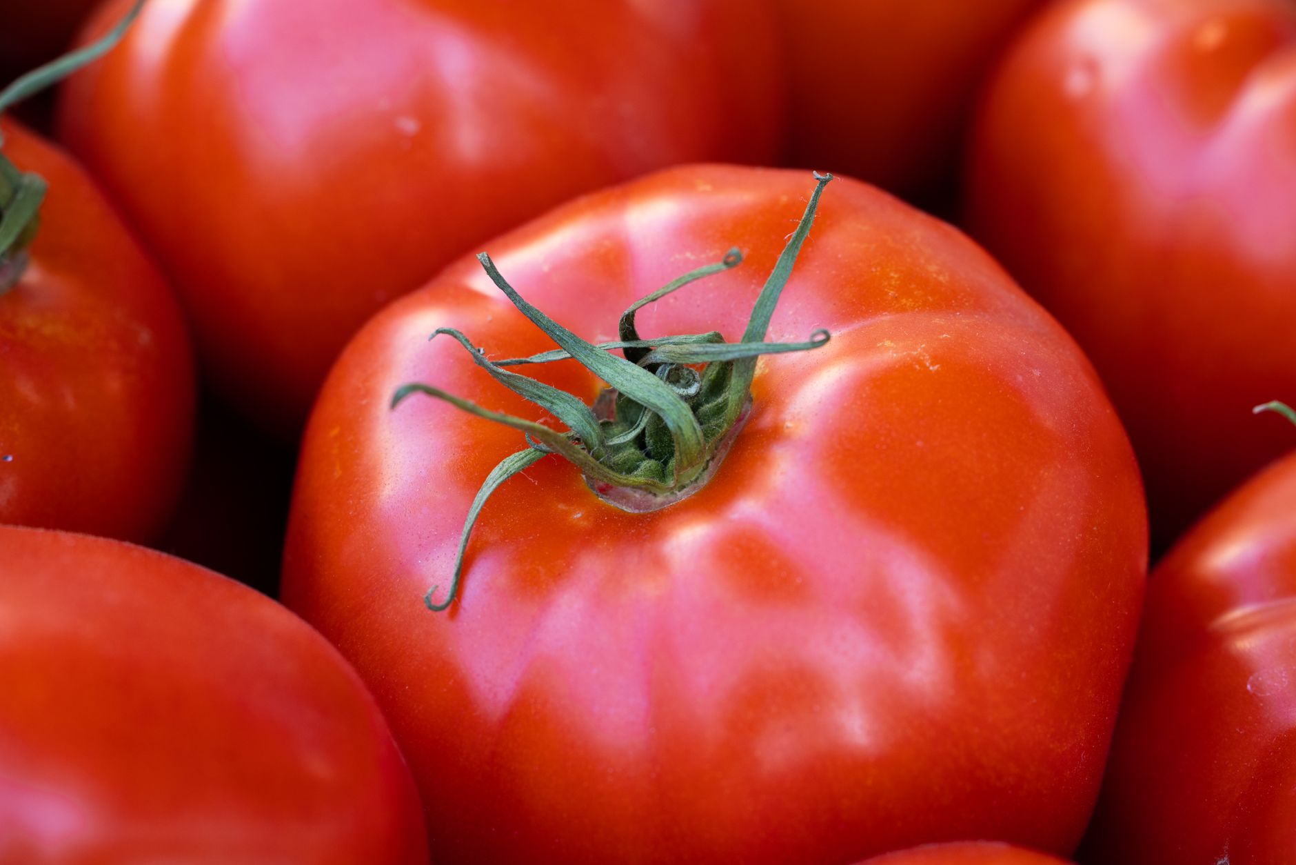 Fresh ripe beefsteak tomatoes on a wooden kitchen counter