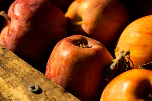 Free Vibrant red apples in a rustic wooden crate, highlighting texture and color in natural light. Stock Photo