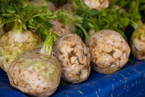 Close Up Photo of Celery Root Vegetable