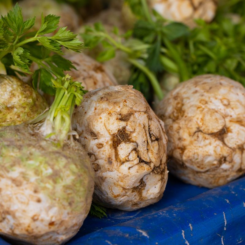Celery Root and Cream Broth