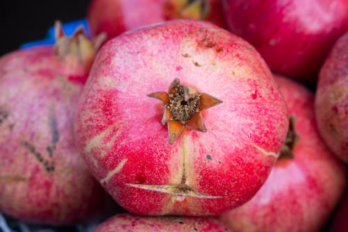 Red Fruits of Pomegranate