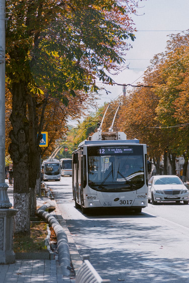 Bus On A City Street 