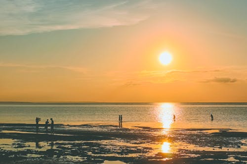คลังภาพถ่ายฟรี ของ ชายหาด, ซิลูเอตต์, ดวงอาทิตย์
