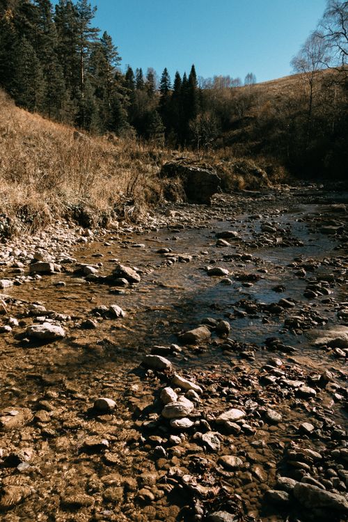 Free Serene river flowing through hilly landscape in Russia with clear sky and natural beauty. Stock Photo