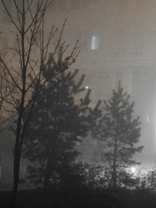 Δωρεάν στοκ φωτογραφιών με Μόσχα, πυκνή ομίχλη