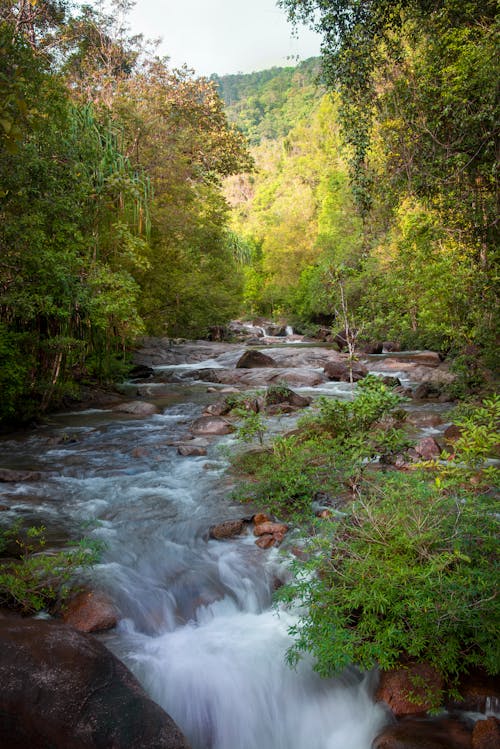 Photo of a Flowing River