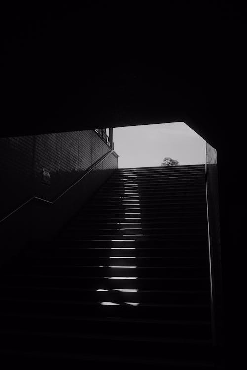 Grayscale Photo of a Staircase